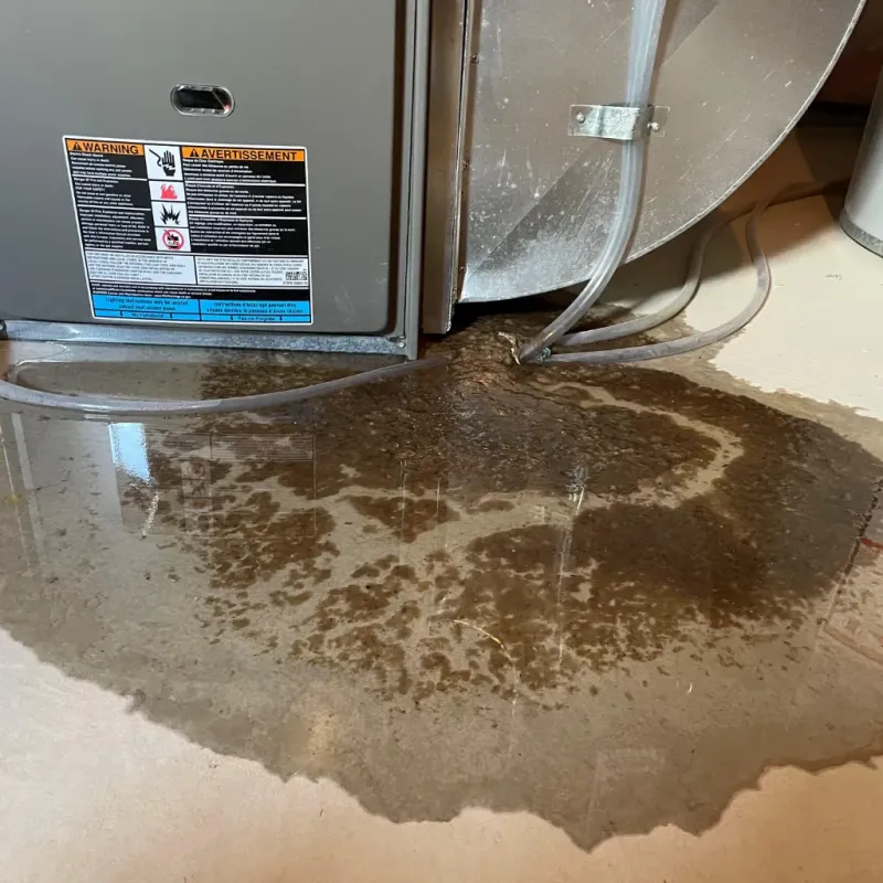 Appliance Leak Cleanup in Beckett Ridge, OH